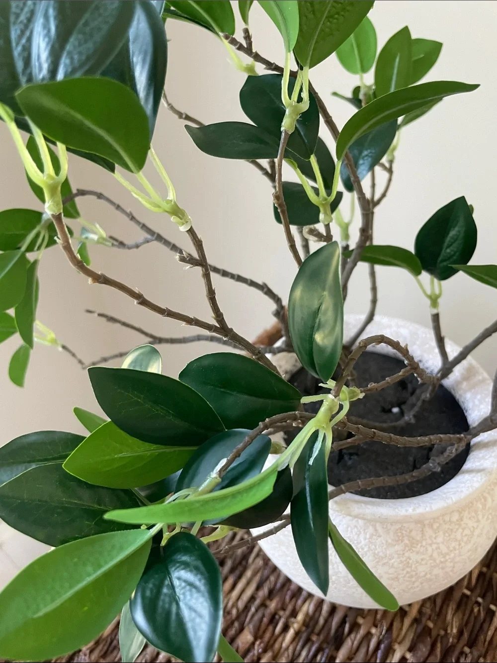 Decorative Cream Ceramic Vase with Green Faux Foliage - Unbranded